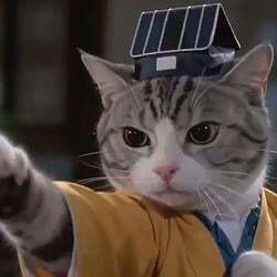 CatFu (CATFU)