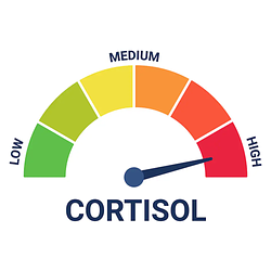 Cortisol Level (CORTISOL)