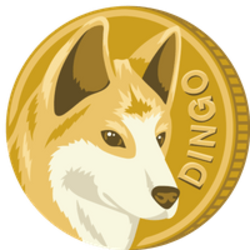 dingo