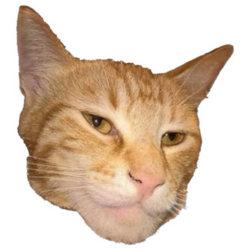Giga Cat (GCAT)