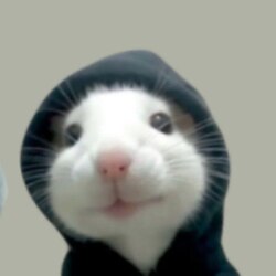 hood rat (HOODRAT)