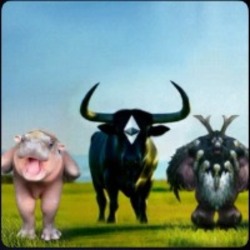Moo Cow (MOOCOW)