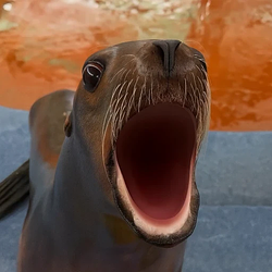 POPSEAL (POPSEAL)