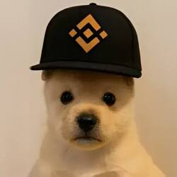 PUP (PUP)