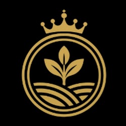 RAI Token (RAI)
