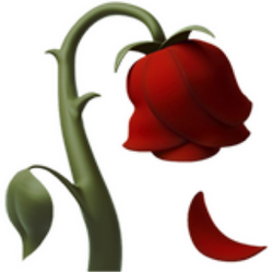 Rose (ROSE)
