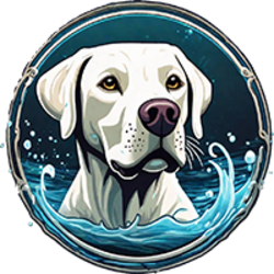 Splash Dog (BUSTER)