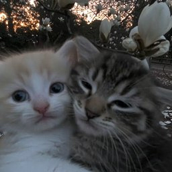Together (TOGETHER)