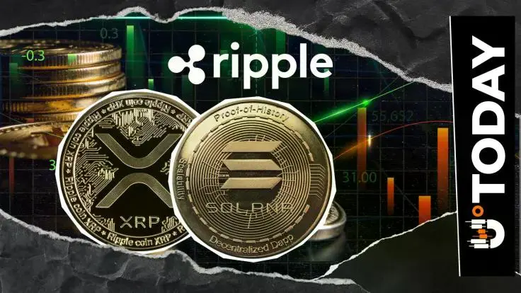 新聞專區-瑞波開發者回應索拉納的XRP貼文，有待關注事項？
