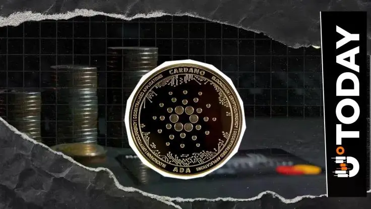 新聞專區-Cardano高管暗示可能與萬事達卡合作：詳情揭秘